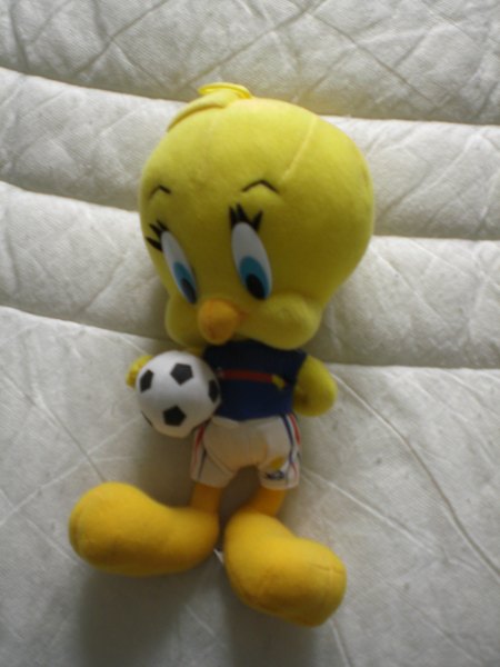 Annonce Tapis sol mousse x4 ou peluche titi neuf