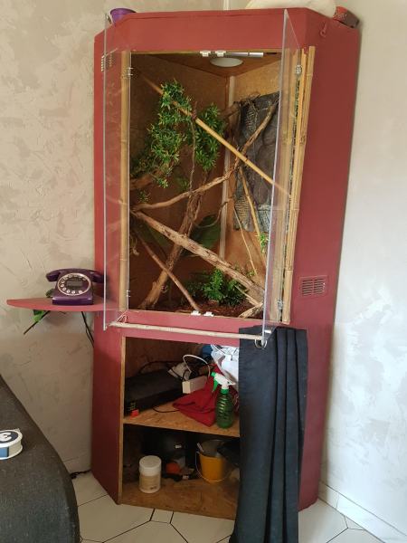 Vente Terrarium d'angle