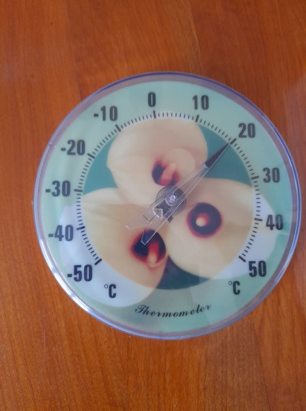 Thermomètre de maison en plastique