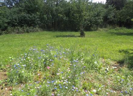 Camping chez l'habitant