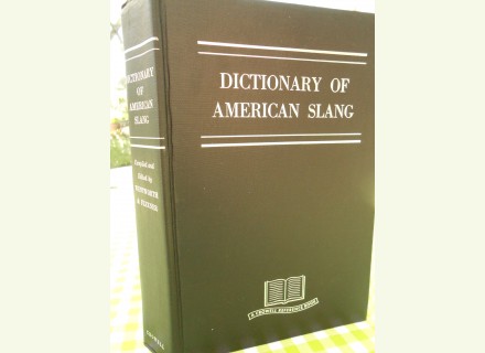 Dictionary américan slang
