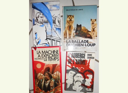 Ado lectures lot 4liv