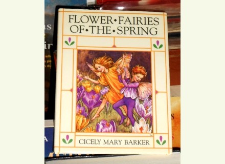 Flower fairies spring