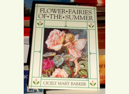 Flower fairies summer