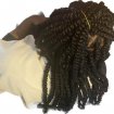 Tresses africaine