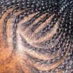 Tresses africaines occasion