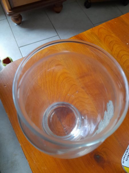 Vase en verre - d&eacute;coration florale - rose en etain pas cher