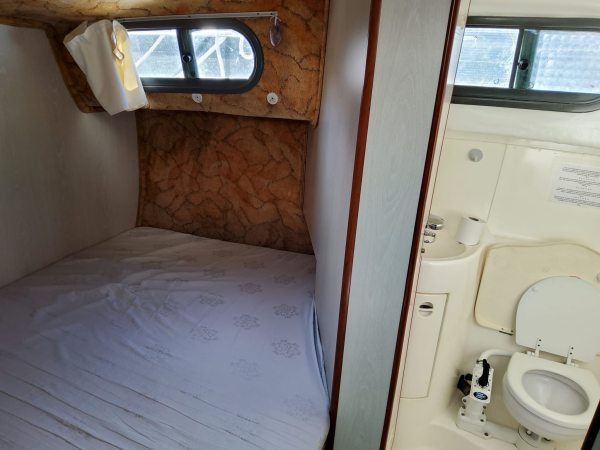 Annonce Vedette nicols 1010