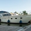 Vedette valk royal 45