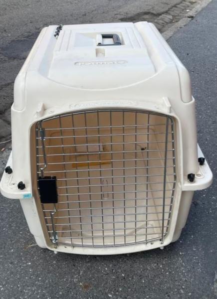 Vente Vend cage pour chiot