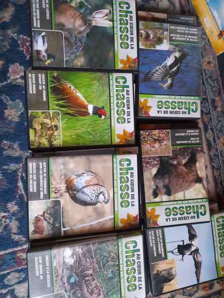 Vend collection dvd chasse