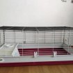 Vends cage lapin occasion