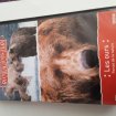 Vhs "animaux sauvages"