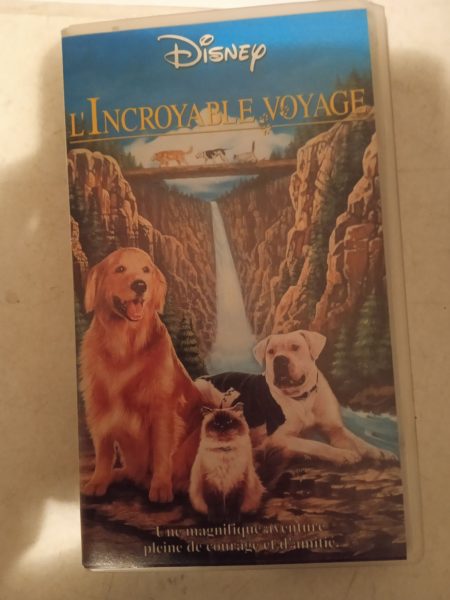 Vhs "l'incroyable voyage"