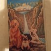 Vhs "l'incroyable voyage"