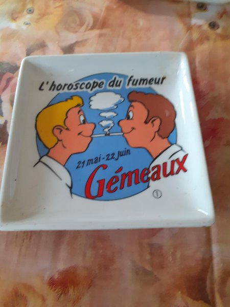 Vide poche horoscope "gémeaux"